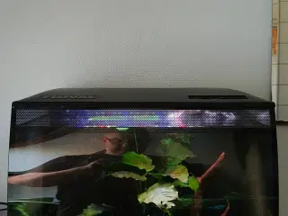 Fluval flex 57 akvarie sælges