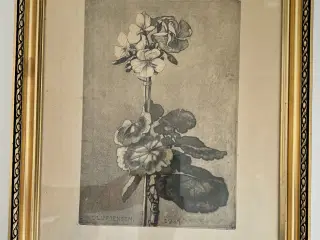 Oluf Jensen radering