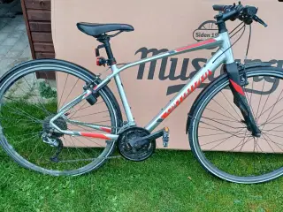 Specialized, Citybike