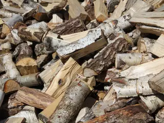 Billigt TØRT BIRKETRÆ - BRÆNDE i sække sælges!