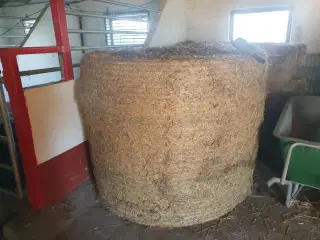 Bigballer