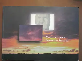 mosens guder - immortal images, af wijnand van der
