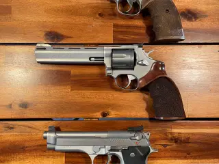 Pistoler sport skydning