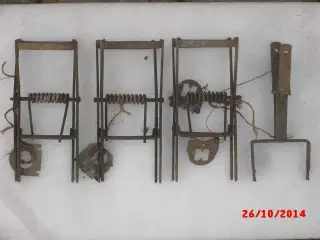 Muldvarpsaks