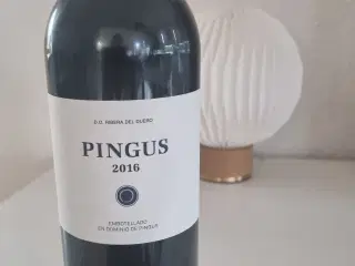 Pingus 2016
