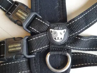 Gåsele/ bilsele hund