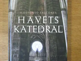 Ildefonso Falcones, Havets katedral
