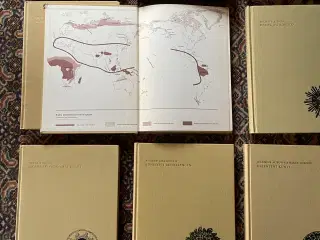 Islamisk Kunst - bog af Ernst J. Grube