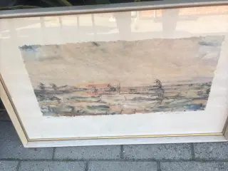 Akvareller 