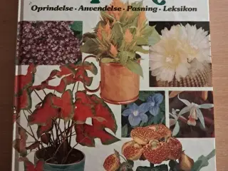 Bogen om Stueplanter Bog