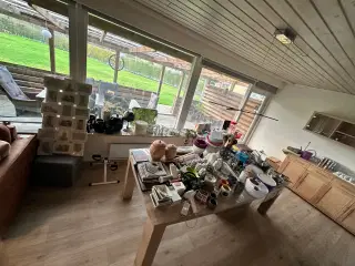 LOPPEMARKED PÅ TREKANTEN 30