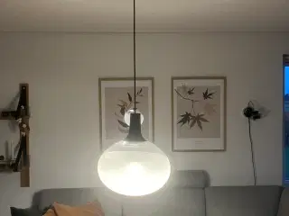 Nordlux Dee LED pendel lampe i glas