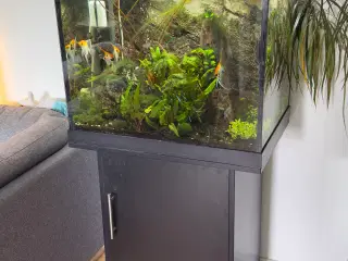 Akvarie med alt tilbehør 