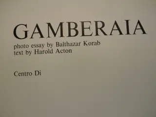 gamberaia photo essay by balthazar korab