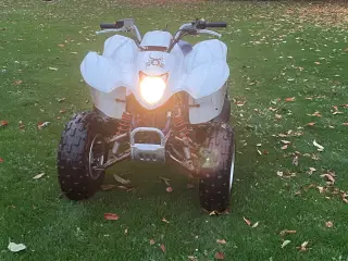 Suzuki 250cc ATV