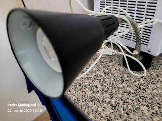 Vægspot sort inkl. LED pære