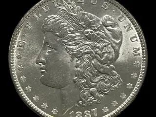 Morgan Dollar 1887