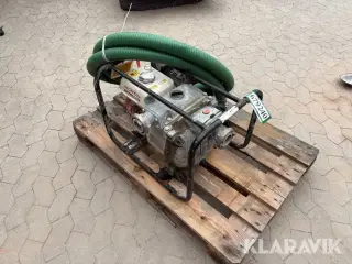 Pumpe