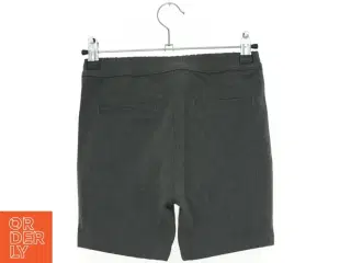 Koin shorts (str. 116 cm)