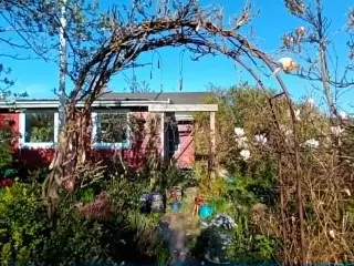 Rummelig og hyggelig kolonihave sælges. 