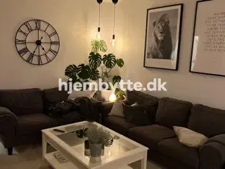 Hjembytte - Karlemosevej
