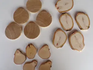 15 NYE Eg / Thuja / Birk Træskiver 