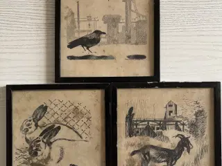 Billeder, Sikker Hansen