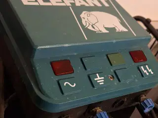 Elephant El-hegn