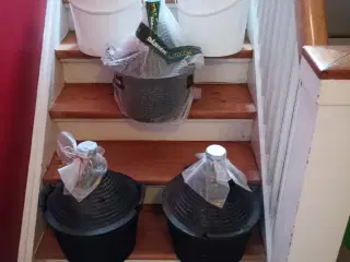 Vin-brygger sæt opstart