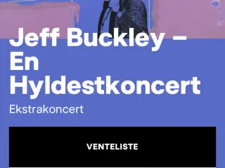 Jeff Buckley hyldestkoncert 5/1 DR Koncerthus