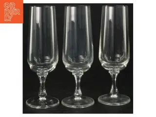 Champagneglas  (3 stk) (str. 16,5 cm)