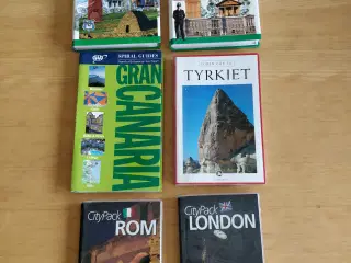 Rejsebøger