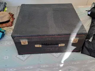 Harmonika excelsior