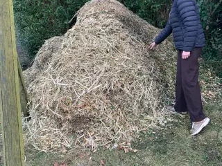 Træflis 