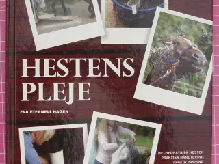 Hestens pleje af Eva Eternell Hagen