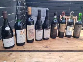 Rødvin hvidvin champagne m.m