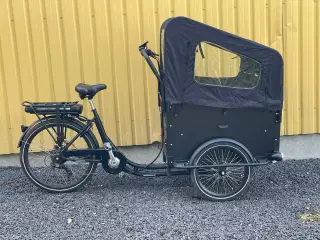 Amla El ladcykel- ultimate curve