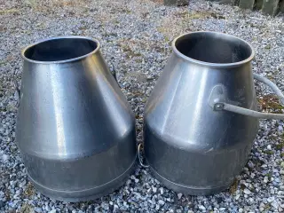 Mælkejunger 