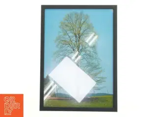 Billedramme med plakat (str. 29,8x42 cm)