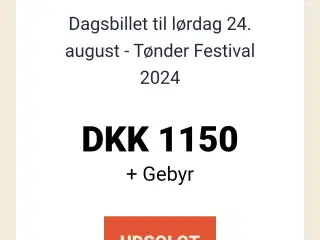 Tønderfestival lørdagsbilletter