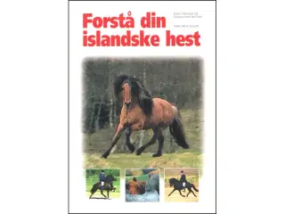Forstå din islandske Hest