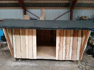 Shelter 