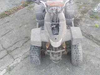 Kitten ATV 50cc