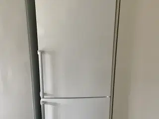 Køleskab med frys