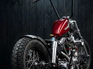 Søger Harley og projekter 