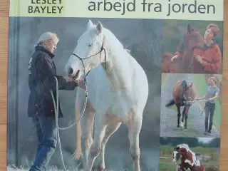Hestetræning- arbejd fra jorden af Lesley Bayley