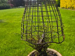 Planter