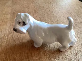 Bg Skotsk Terrier Hund