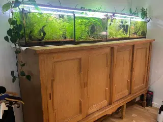 Fire ens 45 liters akvarier på møbel hvis ønskes 