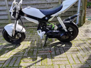 Suzuki Street magic 